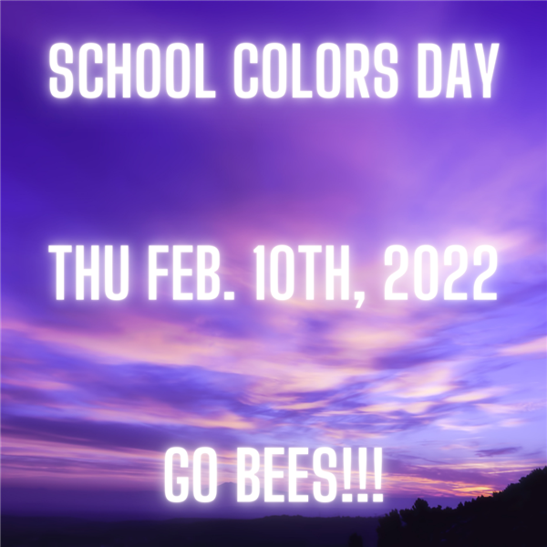  School Colors Day